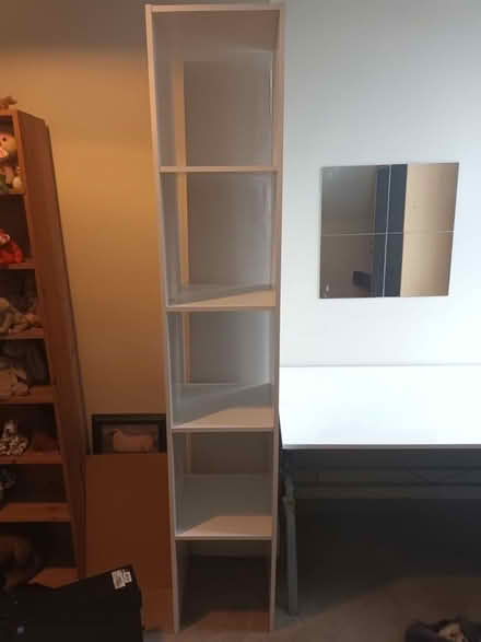 Photo of free Tall narrow bookcase (Rusthall TN4) #2