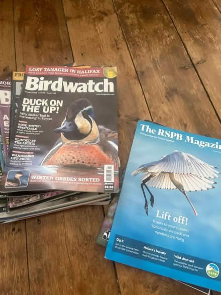Photo of free Birdwatch magazines (East Didsbury/Burnage) #1
