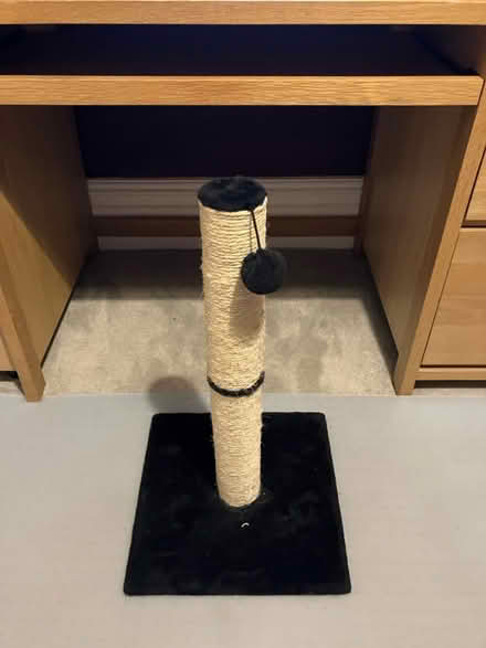 Photo of free Cat scratching pile (Wimbledon) #1