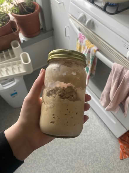 Photo of free Sourdough starter (Ithaca) #1