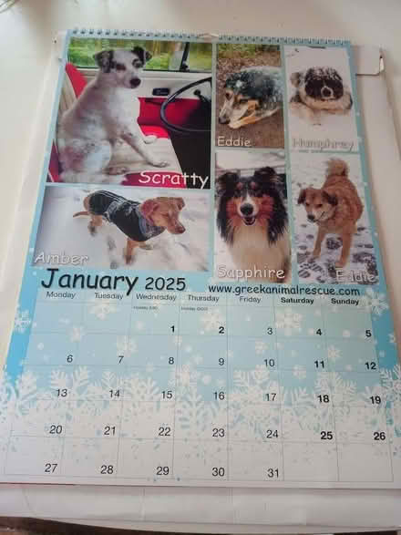 Photo of free Wall calendar 2025 (NW10) #2