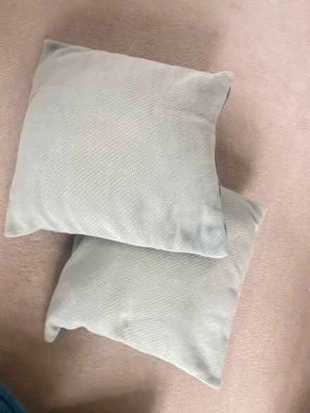 Photo of free 2 pale green cushions (Bosham) #1