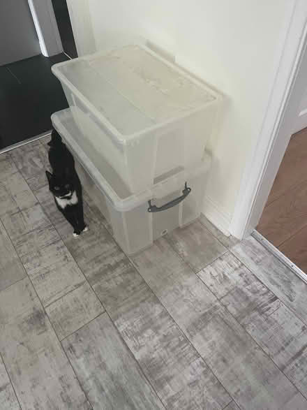 Photo of free 2 sturdy storage boxes (Ramsbottom BL0) #2