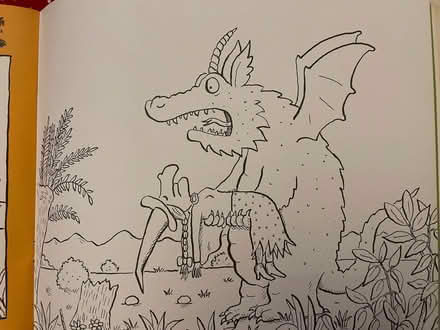 Photo of free Room on the broom Colouring book (Starbeck HG2) #3