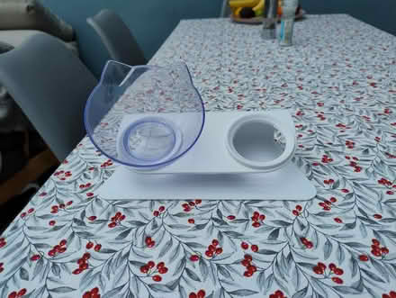 Photo of free Cat bowl (E17) #1