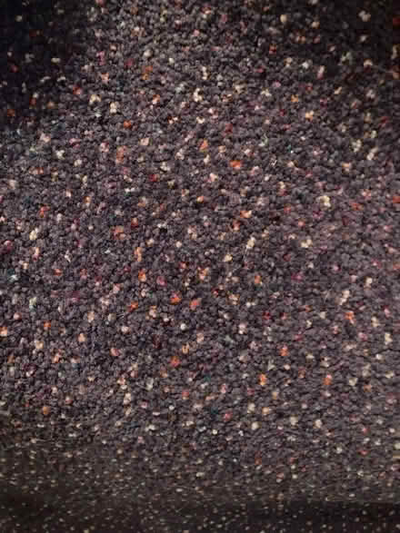 Photo of free Carpet 11’9 x 9’6 (Bowerham LA1) #1