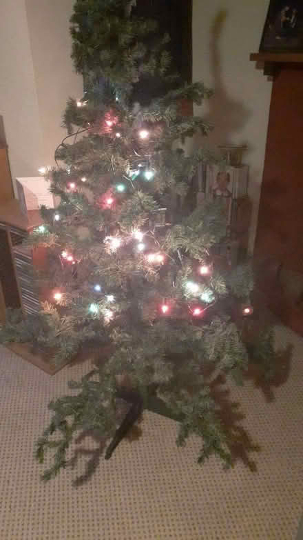 Photo of free Xmas tree - about 6 foot (Sandilands CR0) #3