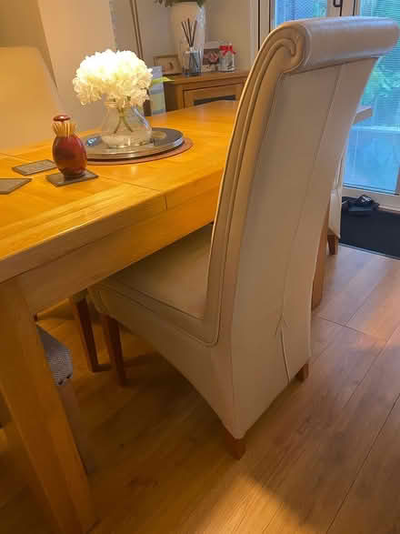Photo of free Dining chairs (Havant PO9) #1