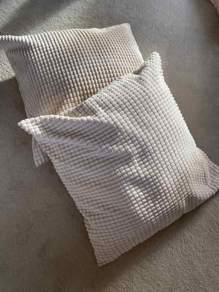 Photo of free 2 cream cushions (Bosham) #1