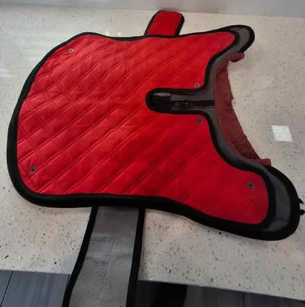 Photo of free Shower proof & lined dog coat (Woolston WA1) #2