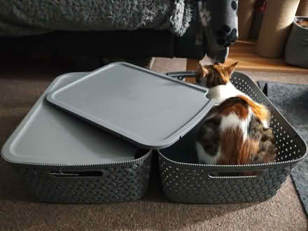 Photo of free 2 Storage boxes (CT11) #1