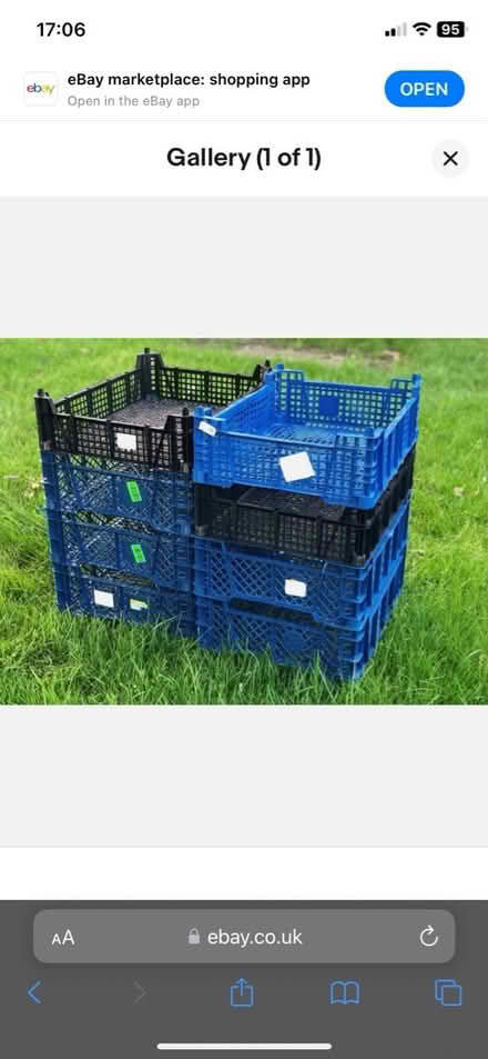 Photo of free mushroom trays (guildford GU1) #1