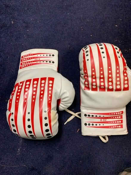 Photo of free Boxing gloves (Stafford ST17) #2