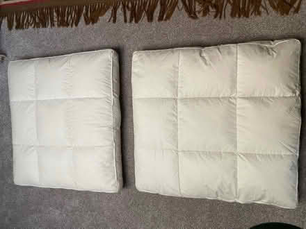 Photo of free Feather filled seat cushions (Horfield, Bristol BS7) #1