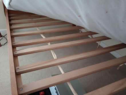 Photo of free Single bed (Malmesbury SN16) #4