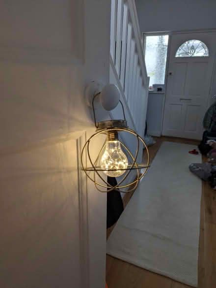 Photo of free Portable decorative lights (BR1) #1