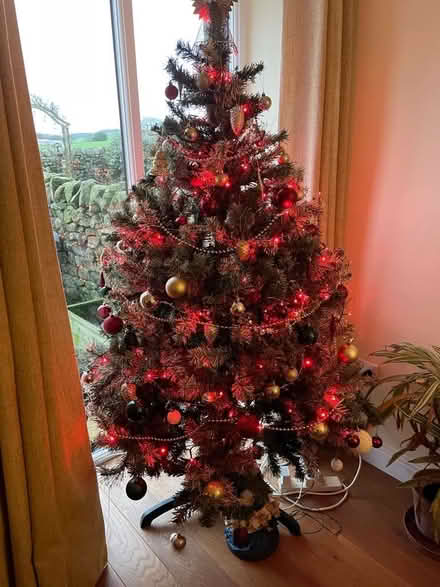 Photo of free Xmas tree fully decorated (Quernmore LA2) #1
