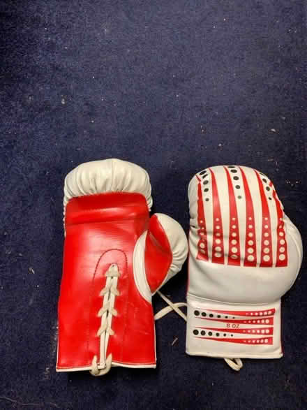 Photo of free Boxing gloves (Stafford ST17) #1
