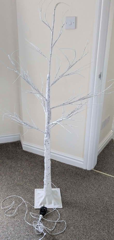 Photo of free LED Christmas Tree (Allestree DE22) #1