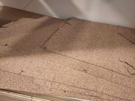 Photo of free Cork board layers (Wallands Park BN7) #1