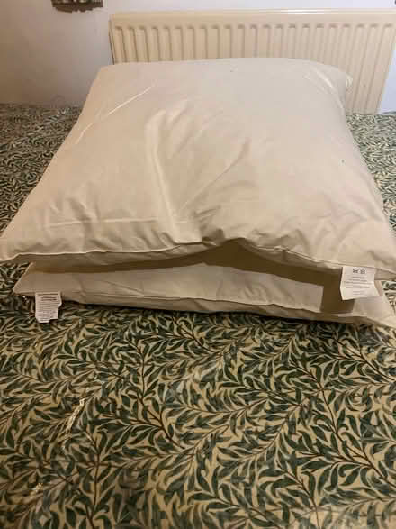 Photo of free Cushion inners (Sheffield Park TN22) #1