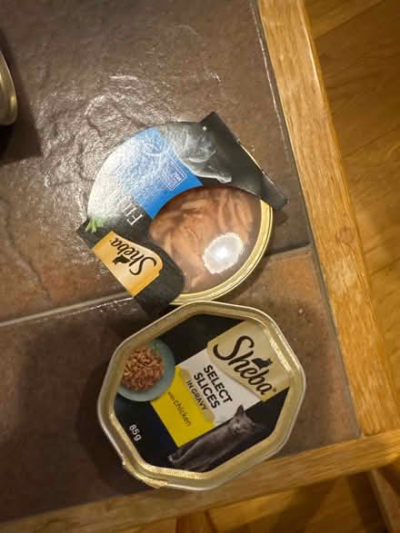 Photo of free Selection of kitten/cat food (HP1) #4