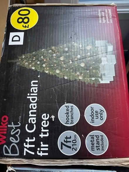 Photo of free Xmas tree (Sompting) #1