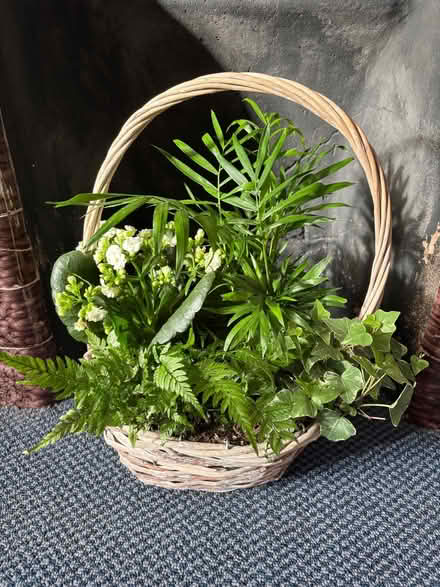 Photo of free Wicker basket planter (Lower Weston) #1