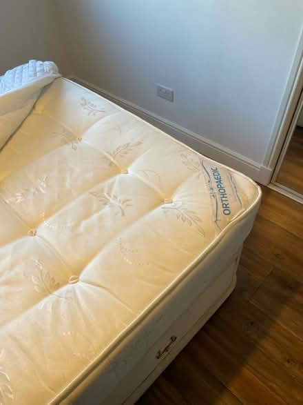 Photo of free King Bed @ Single Bed Bishopbriggs (G64 2AA) #4