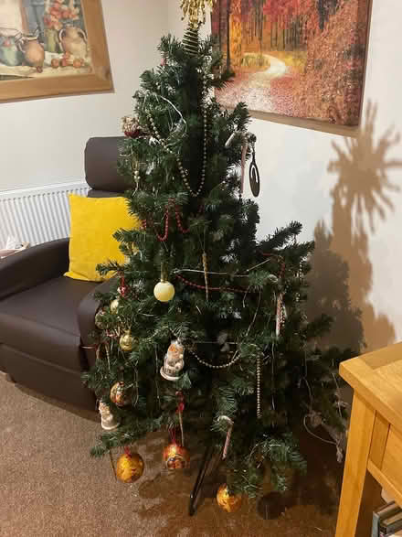 Photo of free Artificial Christmas tree (Newlands) #3