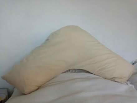 Photo of free Support pillow with cover (Emsworth PO10) #1