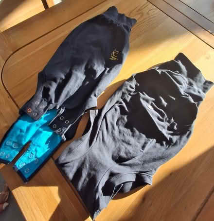 Photo of free Dog Medical Vests (Woolston WA1) #1