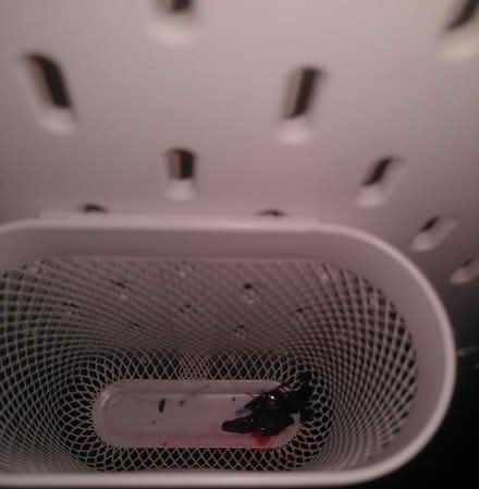Photo of free IKEA storage shelf (billericay CM12) #2