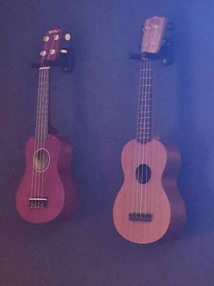 Photo of Ukelele (Brockworth) #1