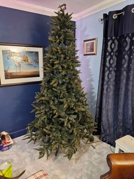 Photo of free Artificial Xmas Tree (Cornton FK9) #1