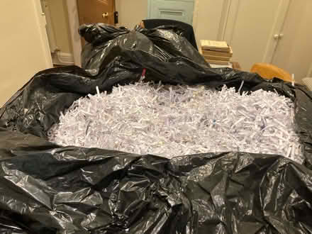 Photo of free Clean shredded paper (Belle Vue SY3) #1