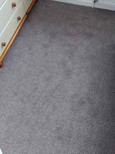 Photo of free Carpet offcut (Parkhead S11) #3
