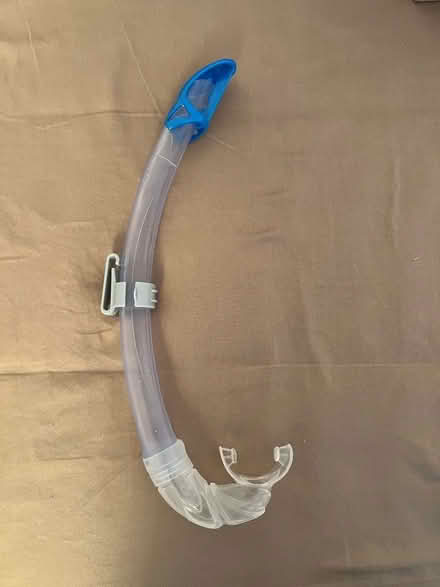 Photo of free Cressi Snorkel (Morley Green SK9) #1