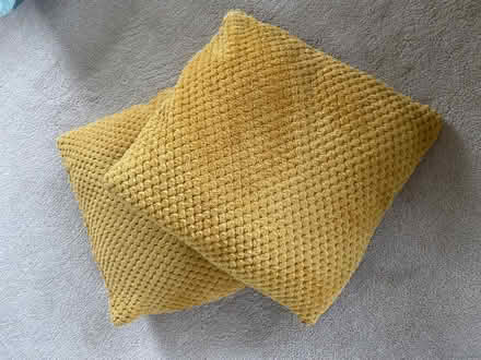 Photo of free 2 gold cushions (Bosham) #1