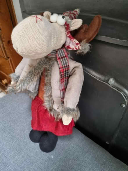 Photo of free Reindeer (Abingdon OX14) #2