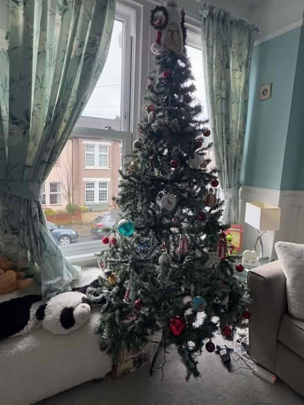 Photo of free 7ft Christmas Tree (Penge BR3) #1