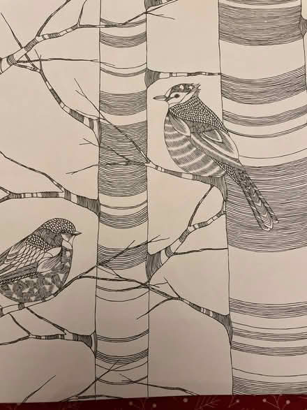 Photo of free Adult colouring book (Starbeck HG2) #3