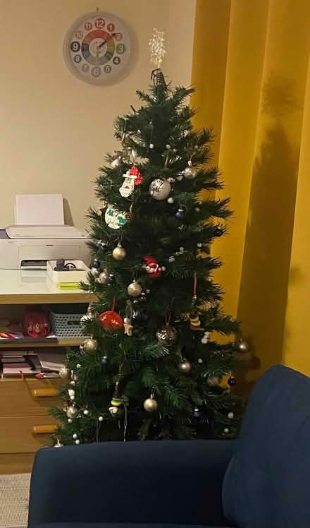 Photo of free 5ft Christmas tree (Hereford HR4) #1