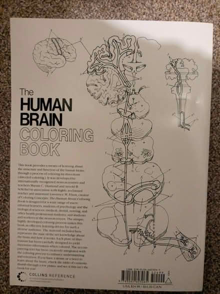 Photo of free Human Brain Colouring Book (Aldwick, PO21) #2