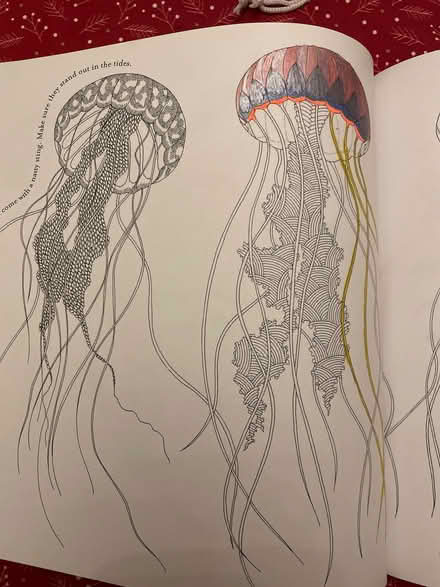 Photo of free Adult colouring book (Starbeck HG2) #4