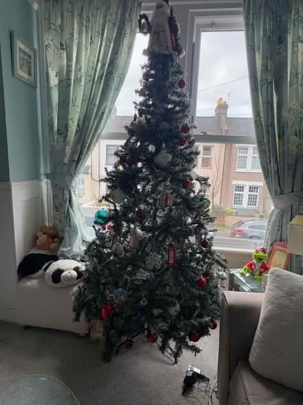 Photo of free 7ft Christmas Tree (Penge BR3) #3