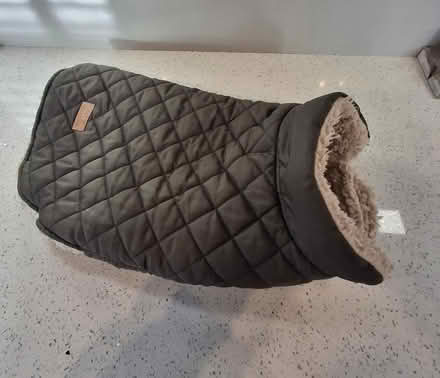 Photo of free Quilted Dog Coat (Woolston WA1) #3