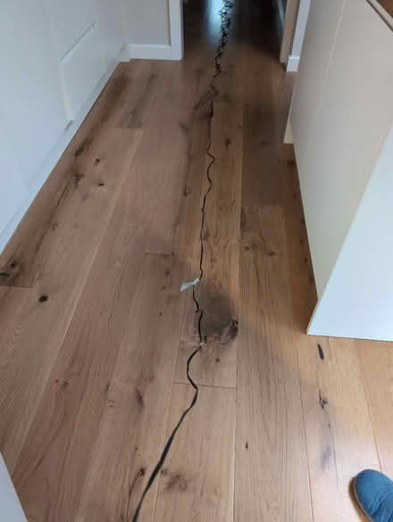 Photo of free White led fairy lights (BN43) #3