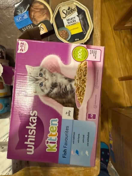 Photo of free Selection of kitten/cat food (HP1) #3