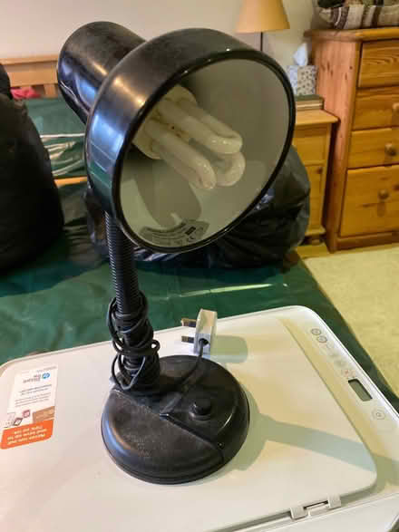 Photo of free Desk or bedside lamp (Burneside LA9) #1